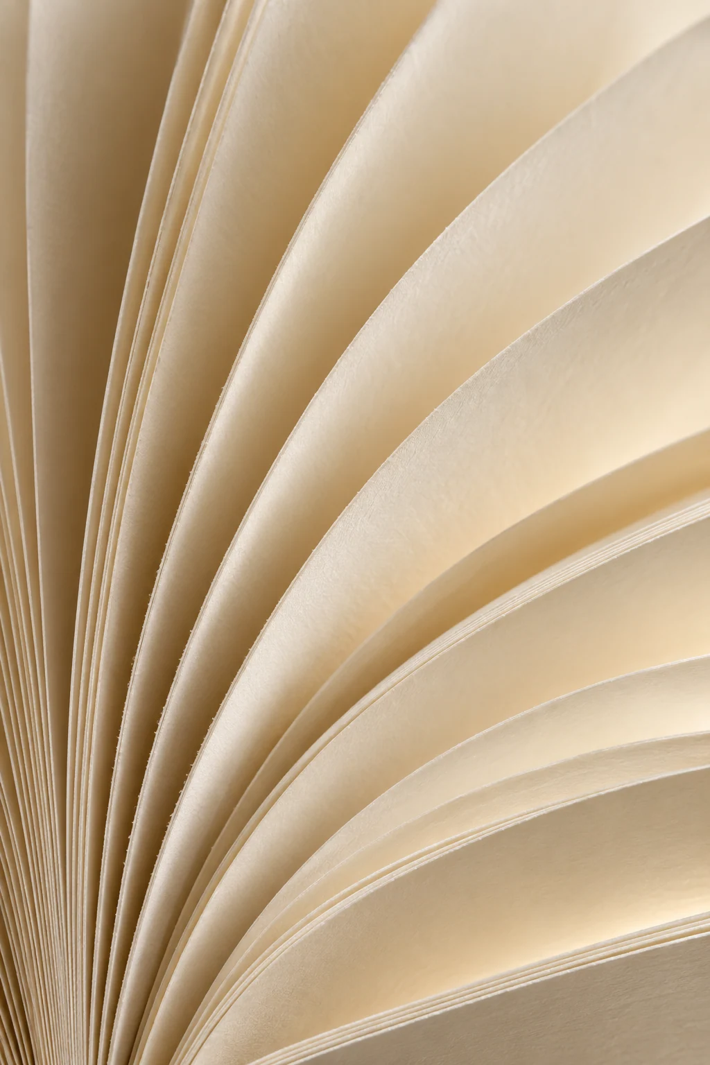 Feuilles de papier ivoire en éventail, grain et finesse des tranches