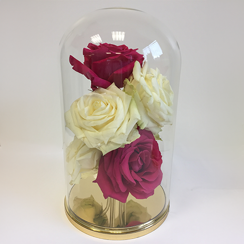Composition florale sous cloche — réalisation Maq’Exe