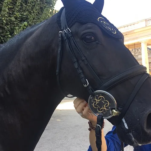 Ornement de cheval — réalisation Maq’Exe